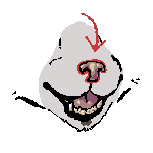 a cat's snout from the front. his mouth is open. there is a red outline around his nose and a red arrow pointing to it